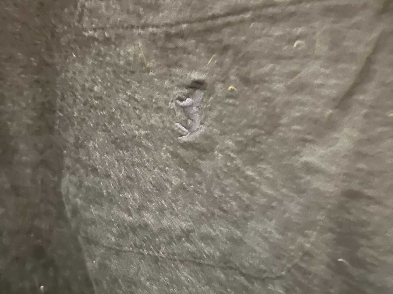 Ferrari Maglioni & Felpe: Ferrari Sweatshirt – Usato da Zumikon venduto da Uranus88 2