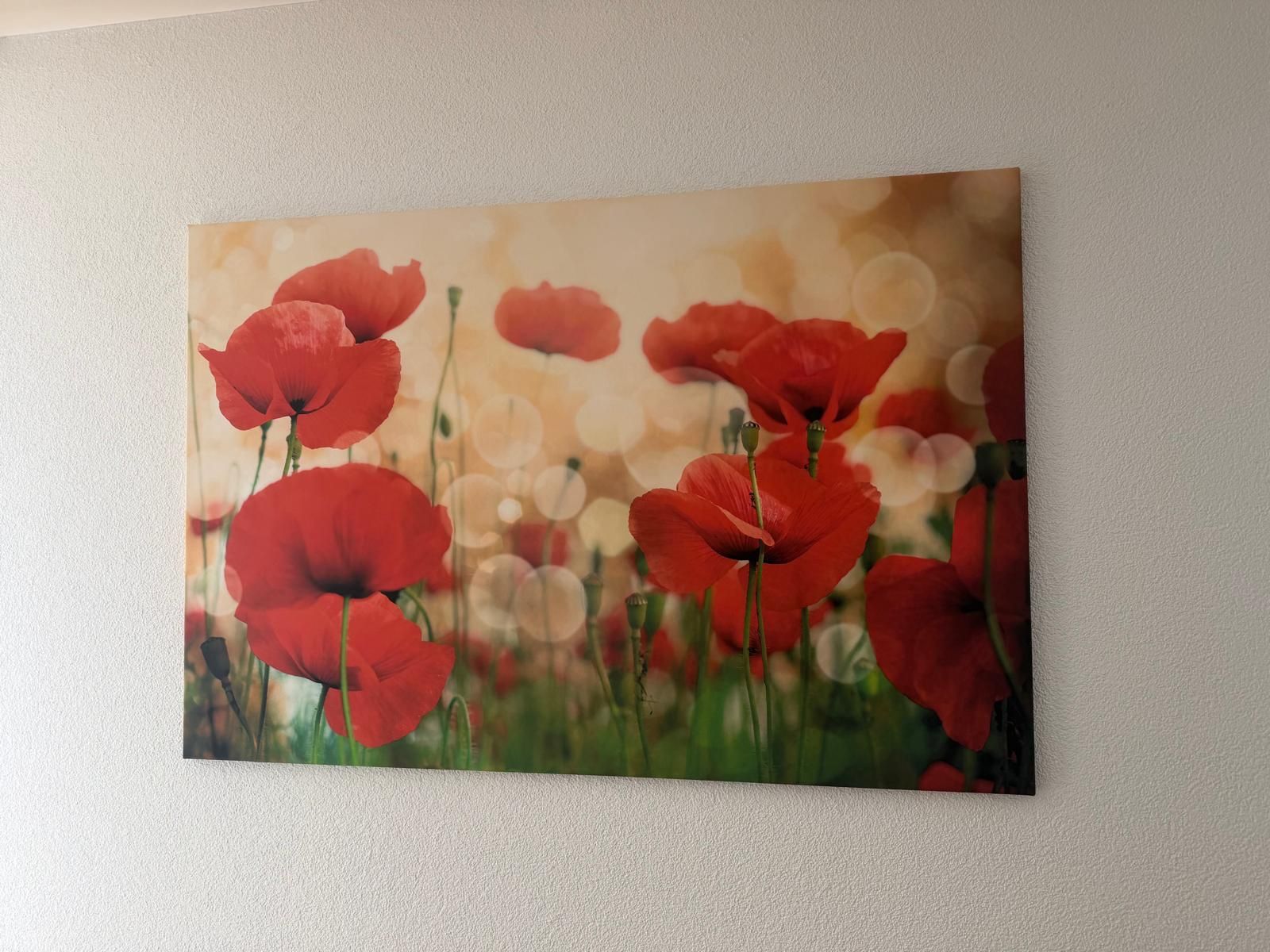 Gemälde: Blumenbild – Neu (gemäss Beschreibung) aus Bachenbülach von art_2pdy