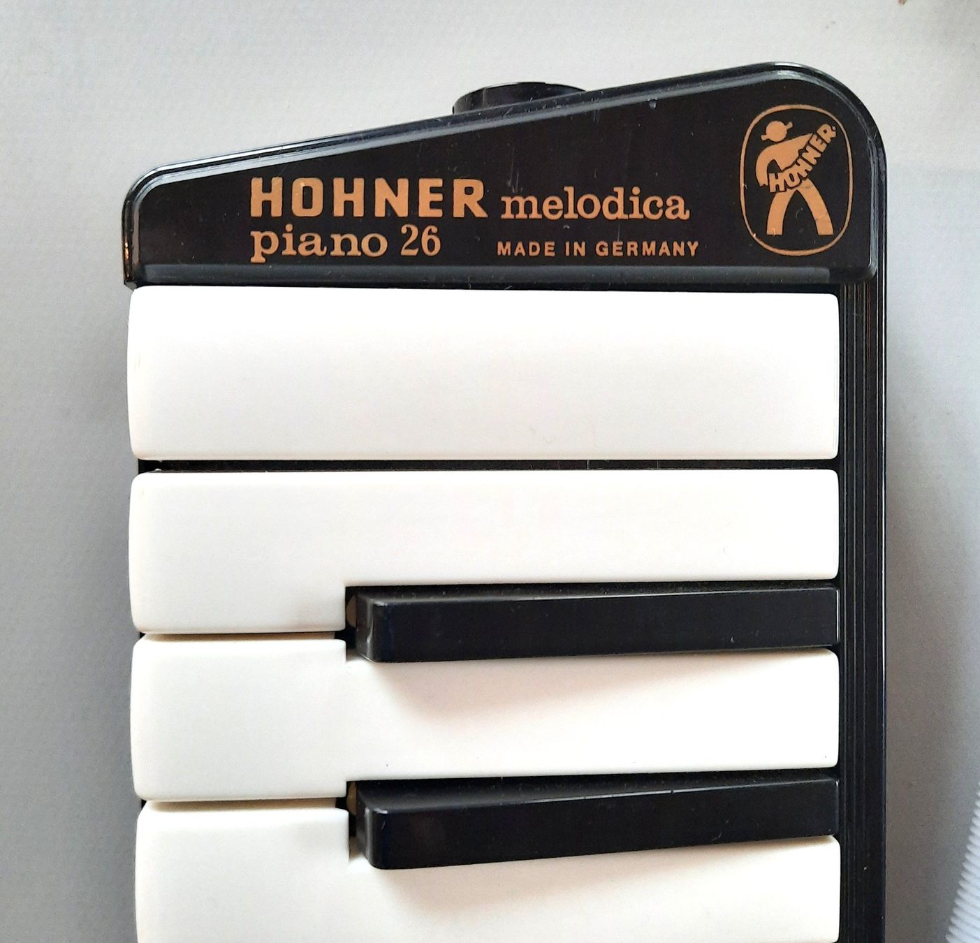 Hohner Strumenti musicali: Hohner melodica Piano26 – Usato da Stettlen venduto da wewe54 3