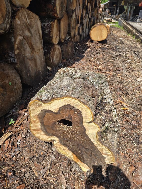 Articoli in legno: Nussbaum Rugel Hohl – Usato da Lützelflüh-Goldb venduto da ch.waelchli-holz.ch