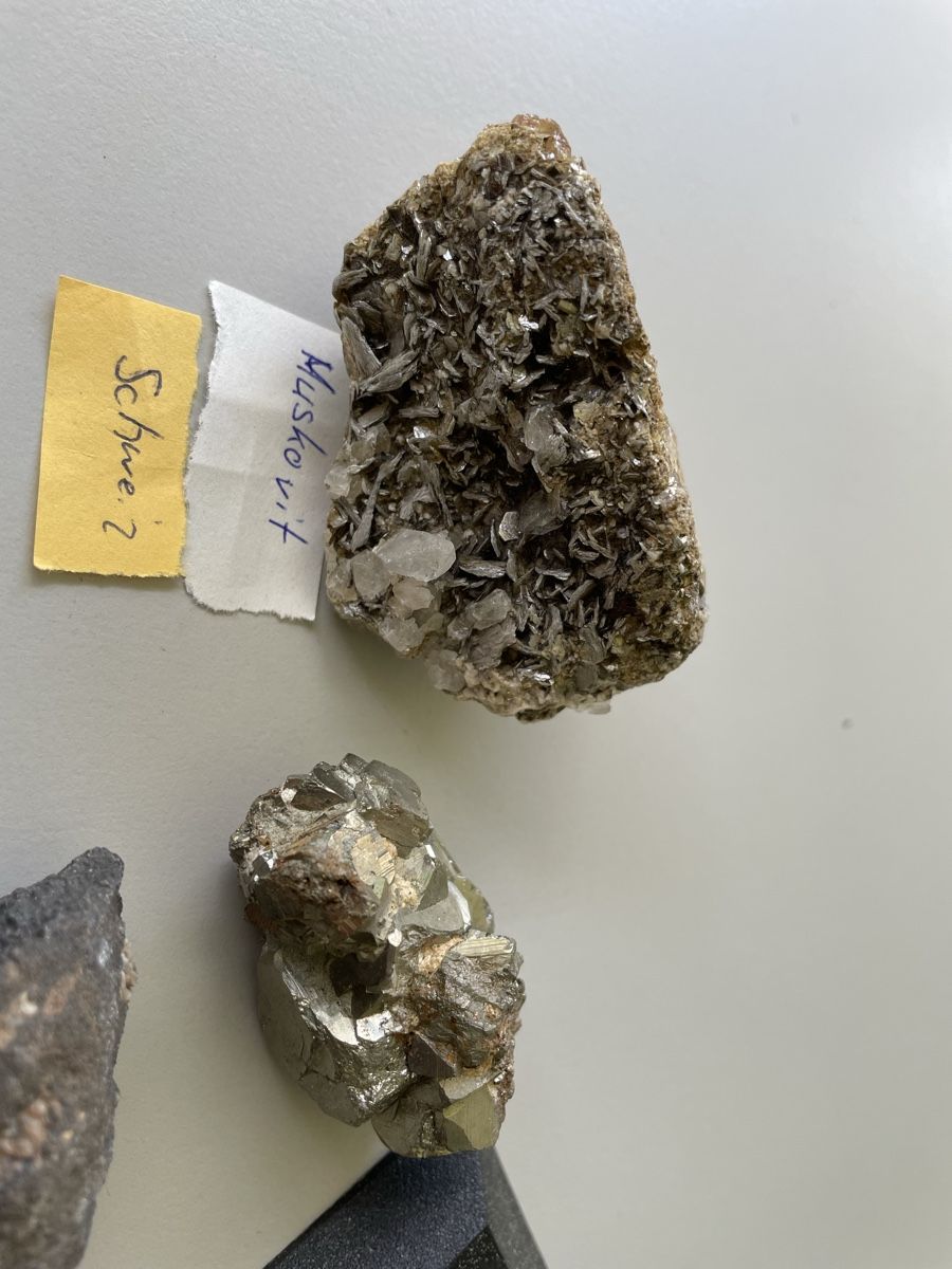 Minerali & Pietre curative: Mineraliensammlung  – Usato da Mollis venduto da Romana1978 1