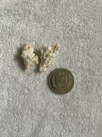 Seltene Aragonit-Zwillinge, Mineralien-Sammlung