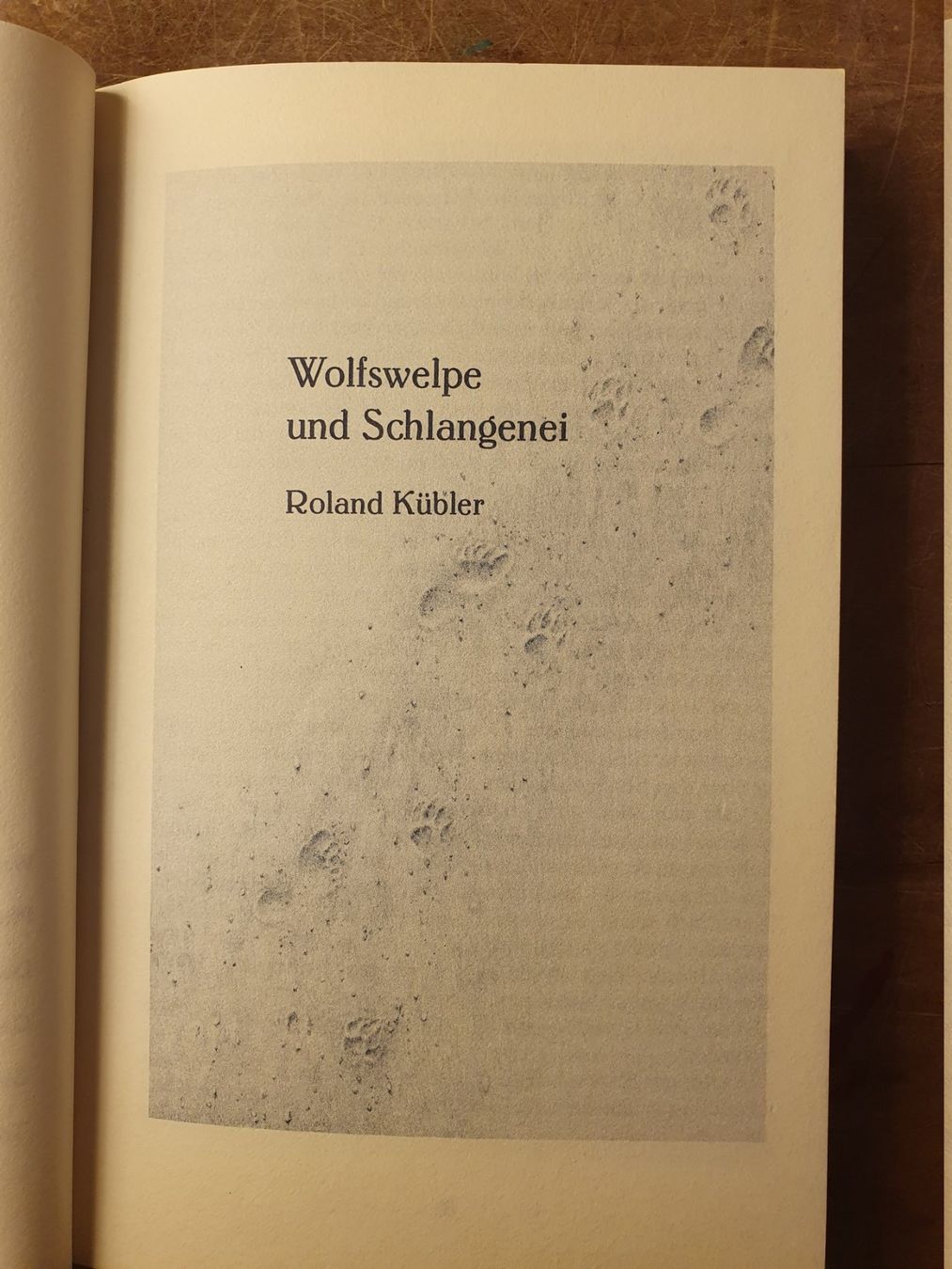 Libri: Traumfeuer - Ein Märchenbuch - Roman Kübler – Usato da Zürich venduto da loosebone 4
