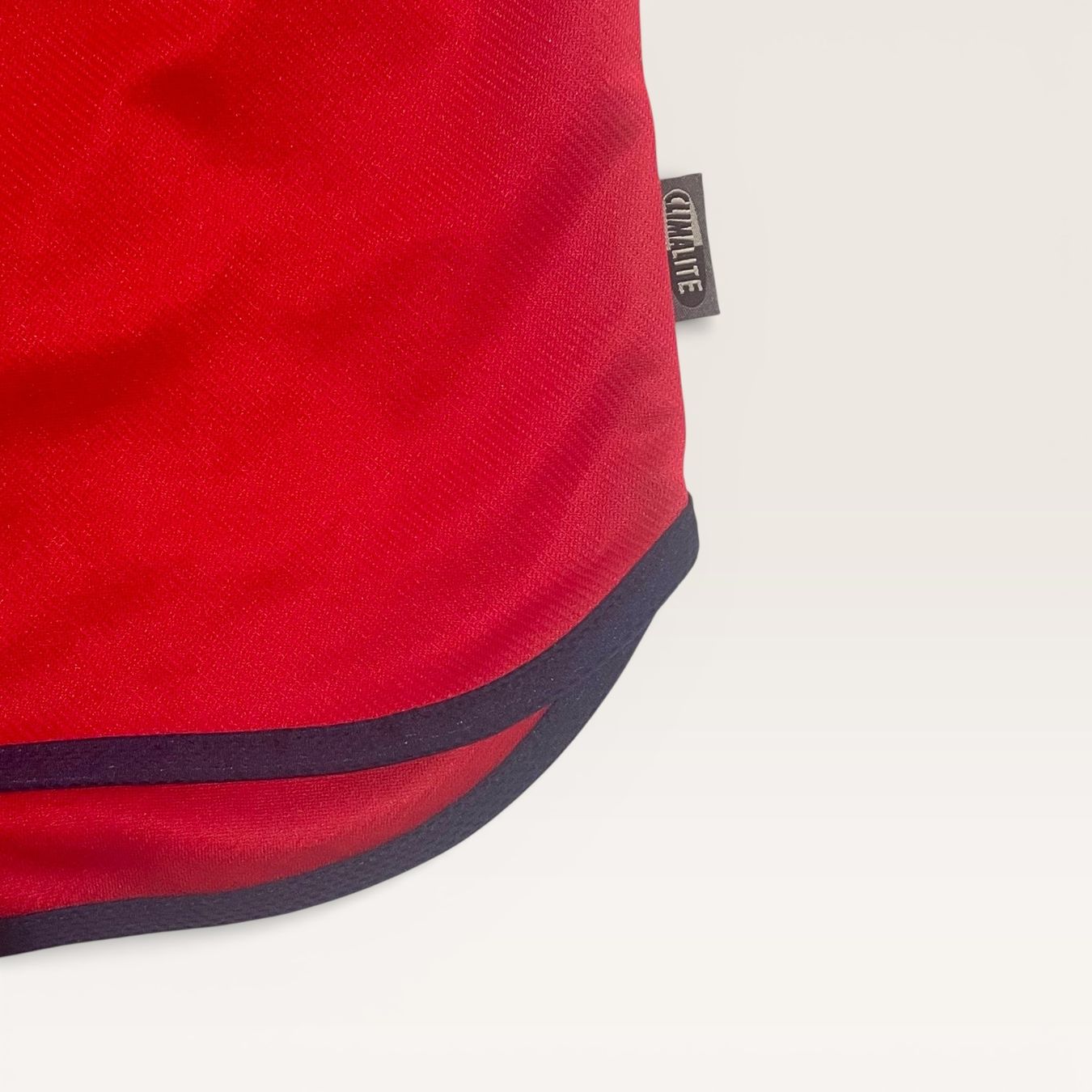 Bayern München Canottiere & Pantaloni: 1999-01 | Bayern Munich (S) – Usato da Savièse venduto da TempsAdditionel 6