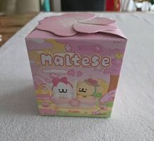 Maltese Kirschblüten Limited Edition