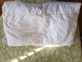 Duvet  Plume d'Oie - Pinolo (100*135cm)