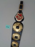 Pferdesschmuck - Leder mit Messing