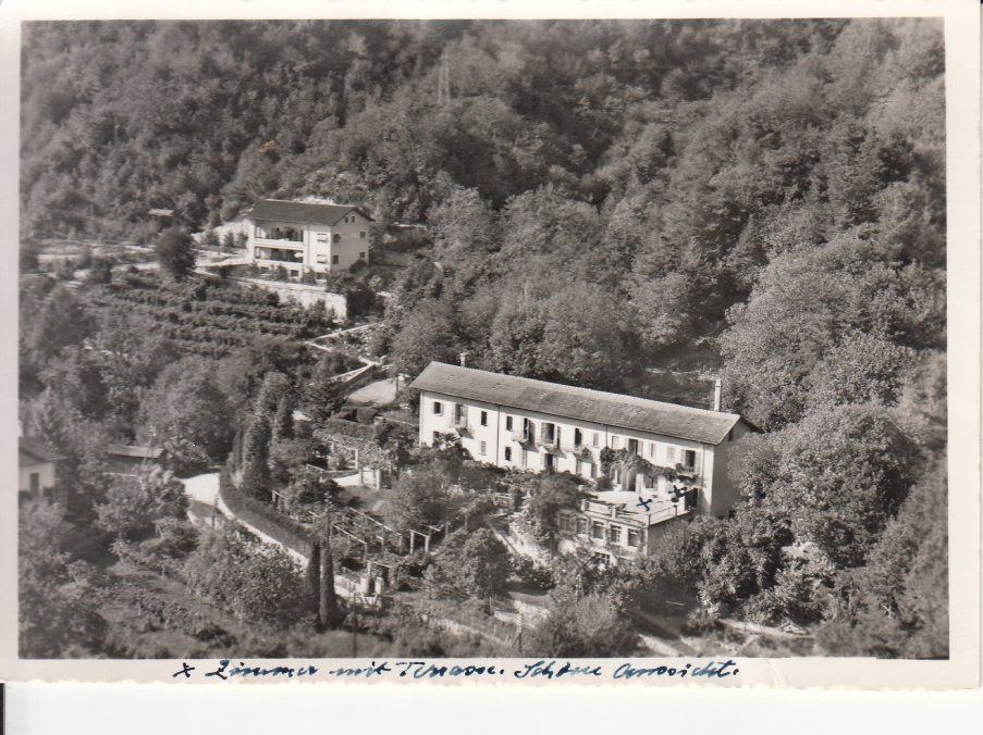 Cartoline postali: Monti Tabor 1953 – Usato da Bürglen TG venduto da StampGraf