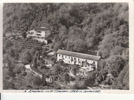 Monti Tabor 1953