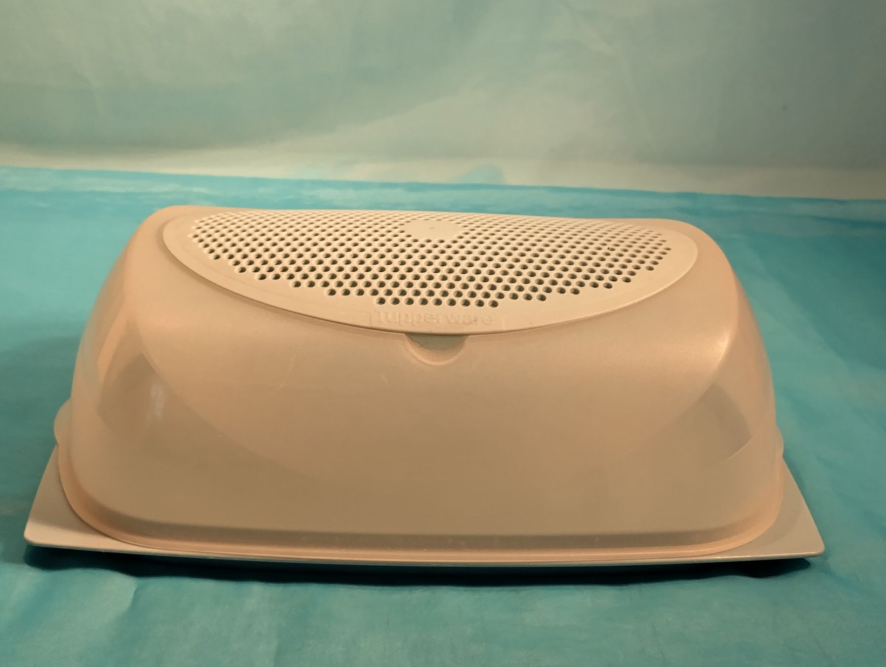Tupperware Contenitori & Simili: Tupperware Behälter für Käse, gross, hellblau, mit Rost – Usato da Bellach venduto da JingleCherry