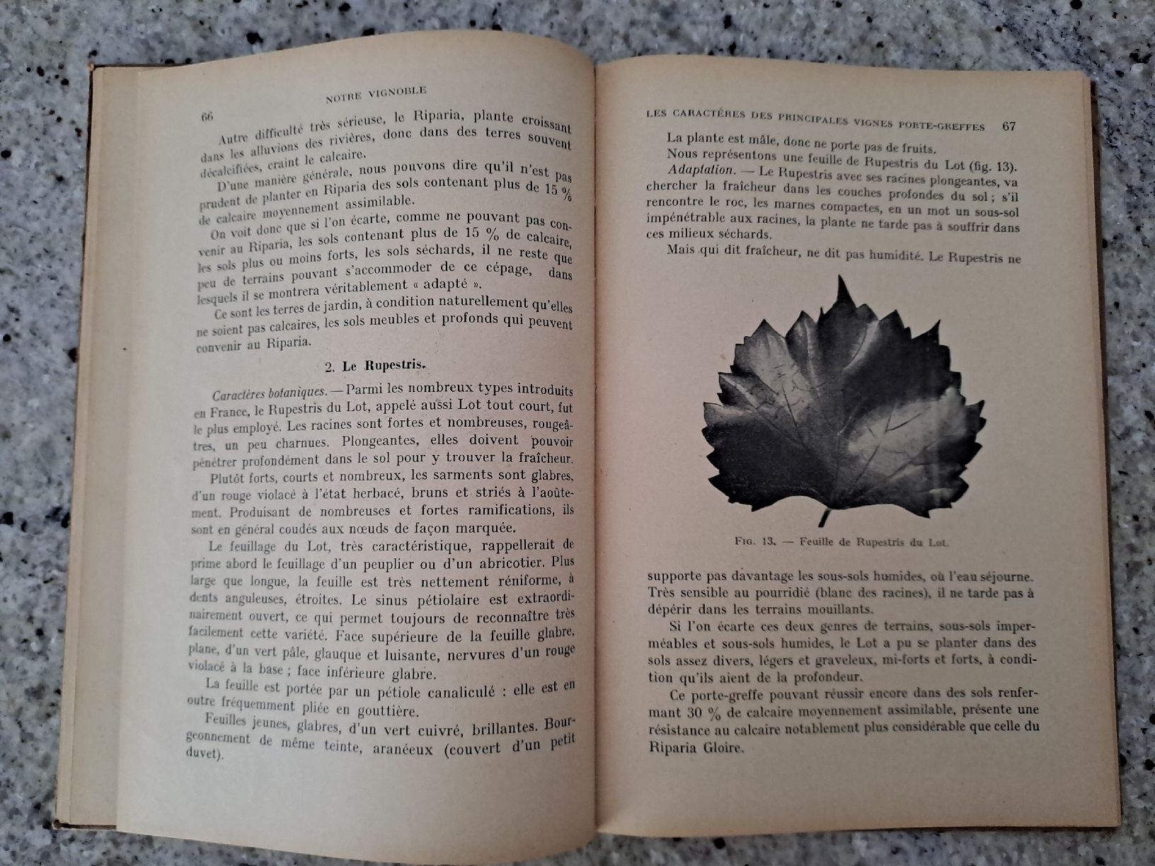 Libri: Vintage Viticulture Book "Notre Vignoble" – Usato da Genève venduto da sunsustains 5