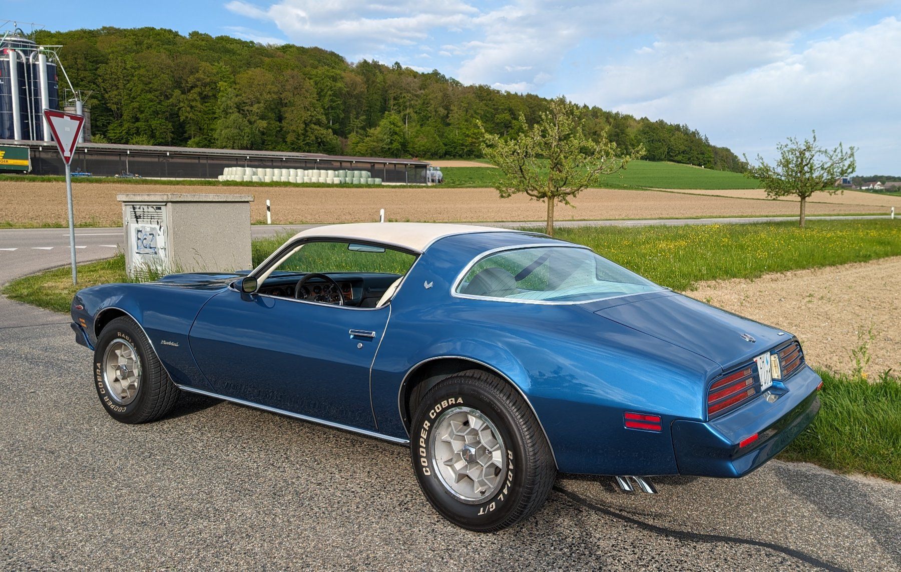 Pontiac Automobili: Pontiac Firebird Formula 400 – Usato da Dietlikon venduto da mrmister12304 1