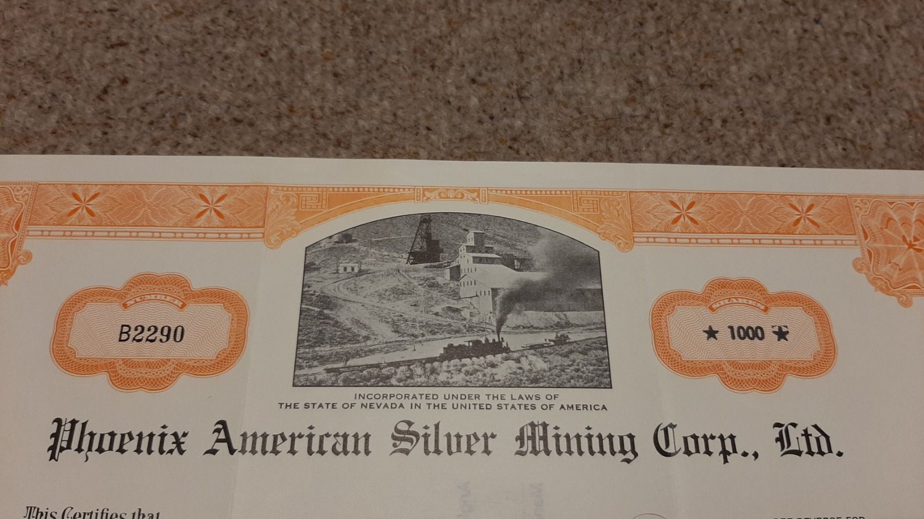 Documenti: Aktie Phoenix American Silver Mining Corp. Ltd – Usato da Porza venduto da ulletta1 1