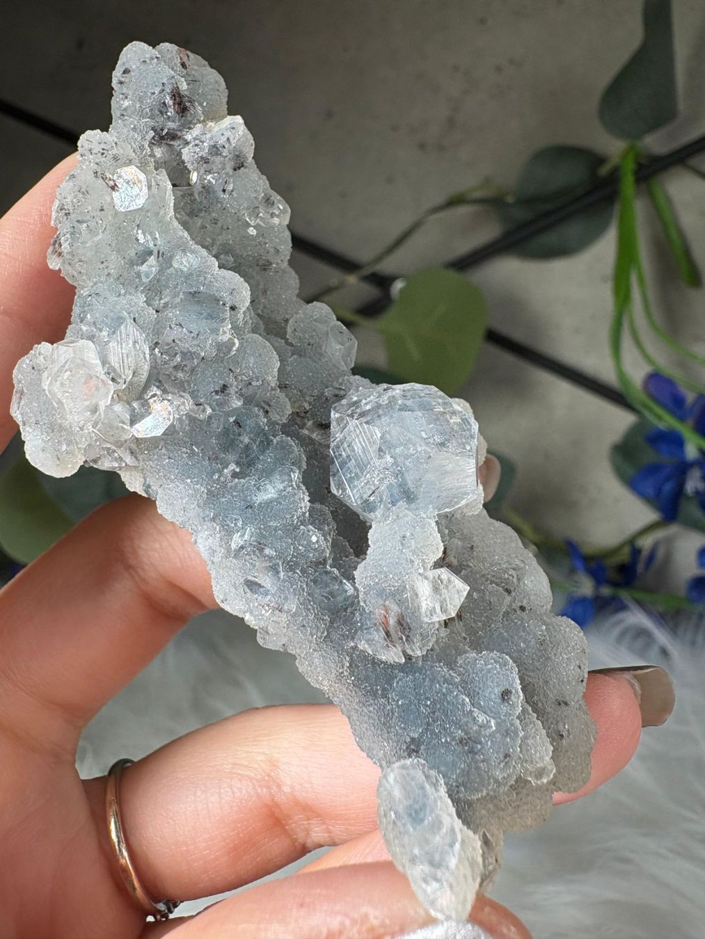Minerali & Pietre curative: Grüner Chalcedon-Stalaktit mit Apophyllit – Nuovo e nell'imballaggio originale da Neuheim venduto da m.hald 1
