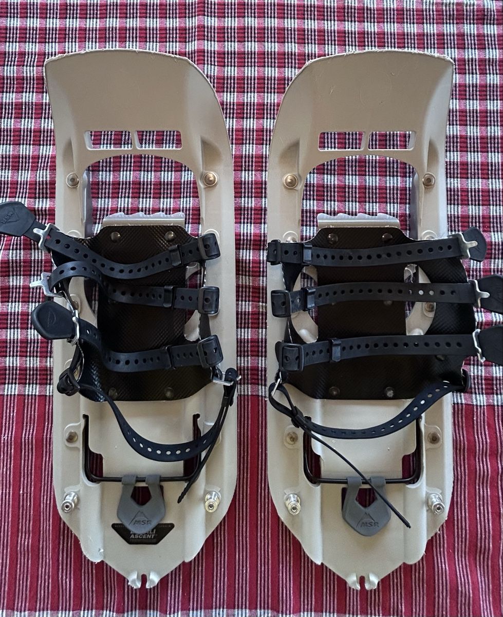 Msr Sci: Schneeschuhe MSR Denali Ascent komplett – Usato da Walkringen venduto da Flyover
