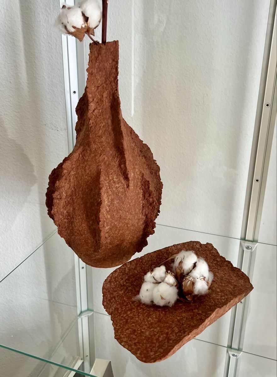 Vasen & Gefässe: Schale und Vase - Kunstobjekte – Neu (gemäss Beschreibung) aus Bern von zanie