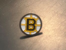 *Bosten Bruins Pin*