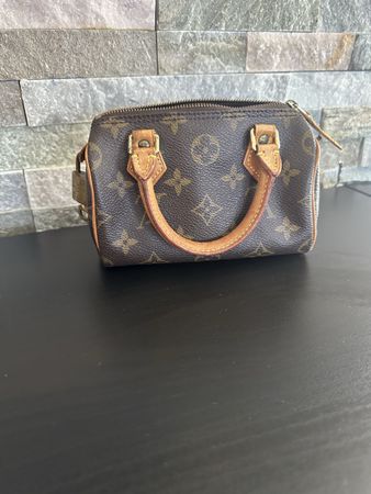 Louis Vuitton Nano Speedy