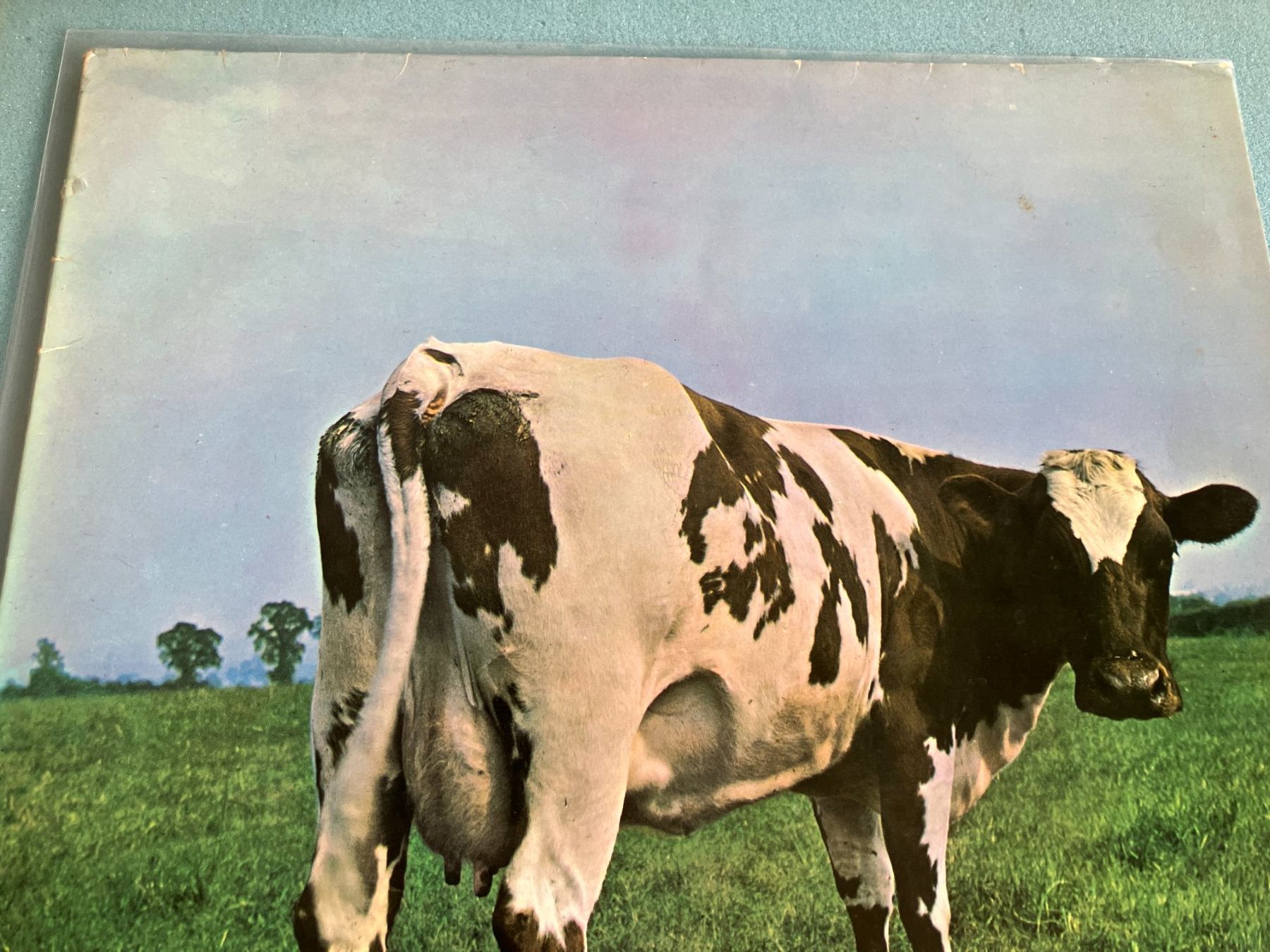 Dischi in vinile: Pink Floyd – Usato da Aarwangen venduto da Jukebox3 1