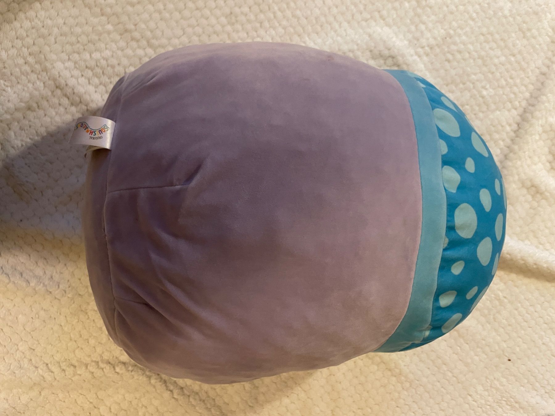 Squishmallows Giocattoli: Squishmallow Pilz – Usato da Bern venduto da Djakite 1