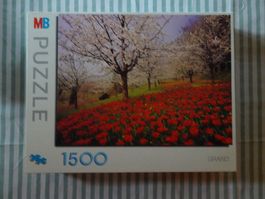MB Puzzle Tulpenfeld - 1'500 Teile - M67