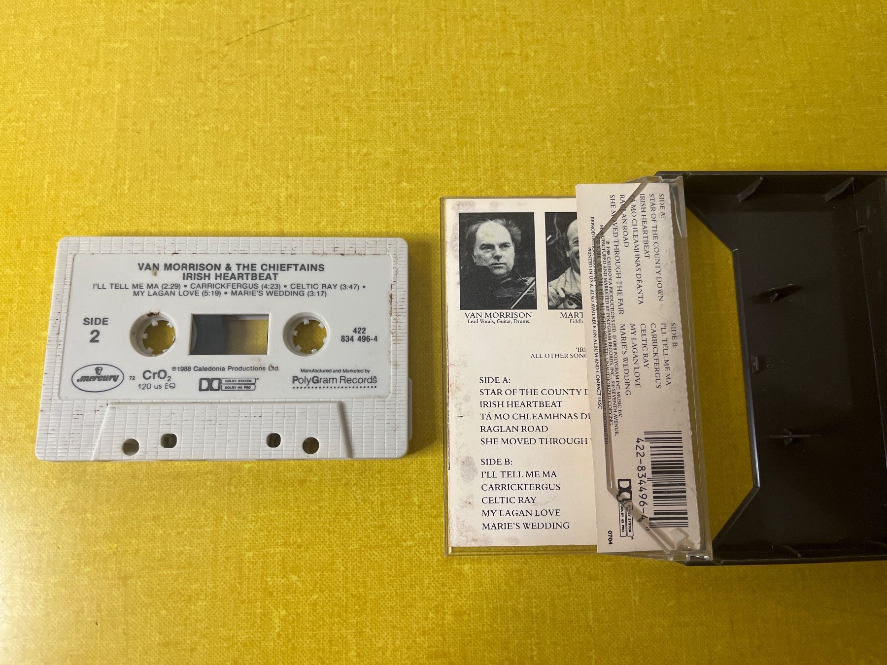 Musicassette: Van Morrison & The Chieftains - MC Kassette – Usato da Brugg AG venduto da corkycanada 2