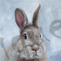 Serviette niblet the bunny (1626) 2Stk.