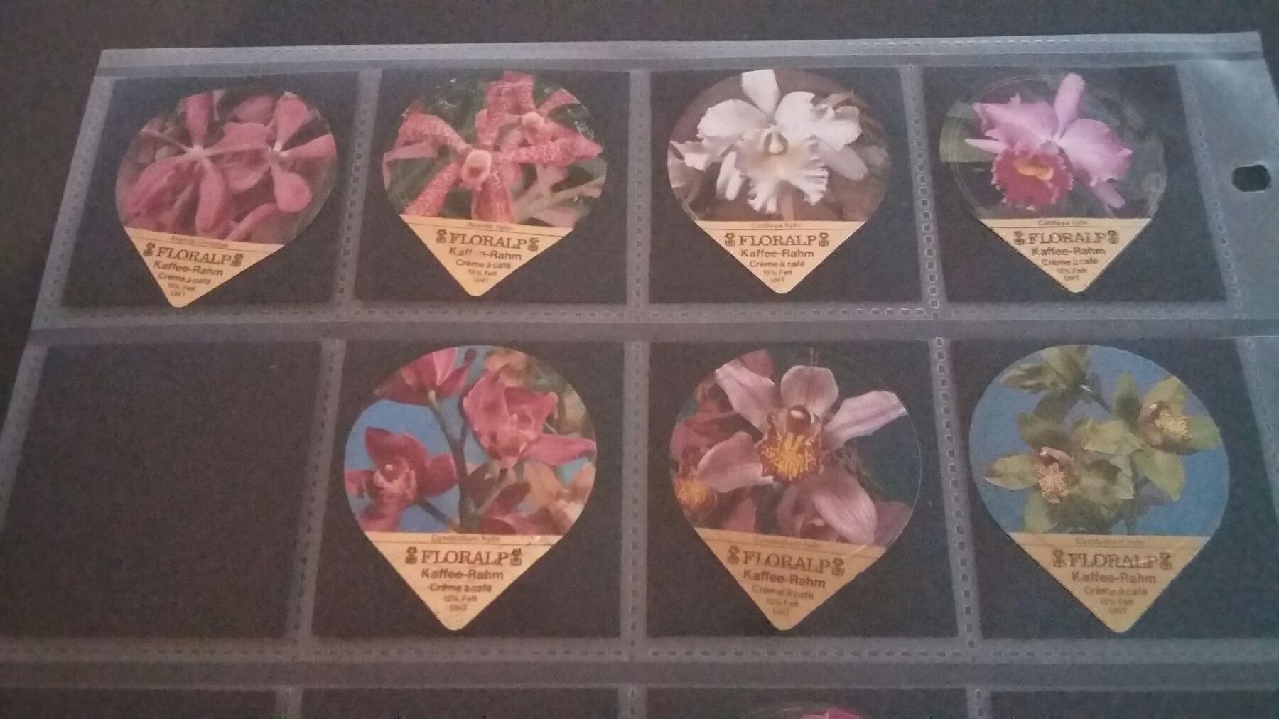 Coperchi dei cremini per caffè: 32 KRD aus Serie 18 "Orchideen" – Usato da Goldau venduto da Soundbookie