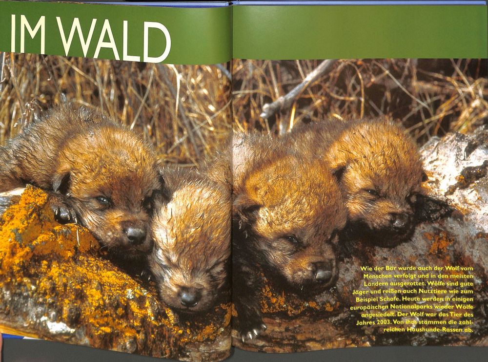 Die besten Tipps für einen gemütlichen Abend zu Hause