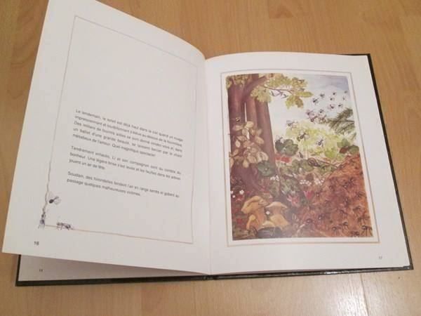 Libri: La fourmi ailée – Usato da Neuchâtel venduto da Dualseele 8
