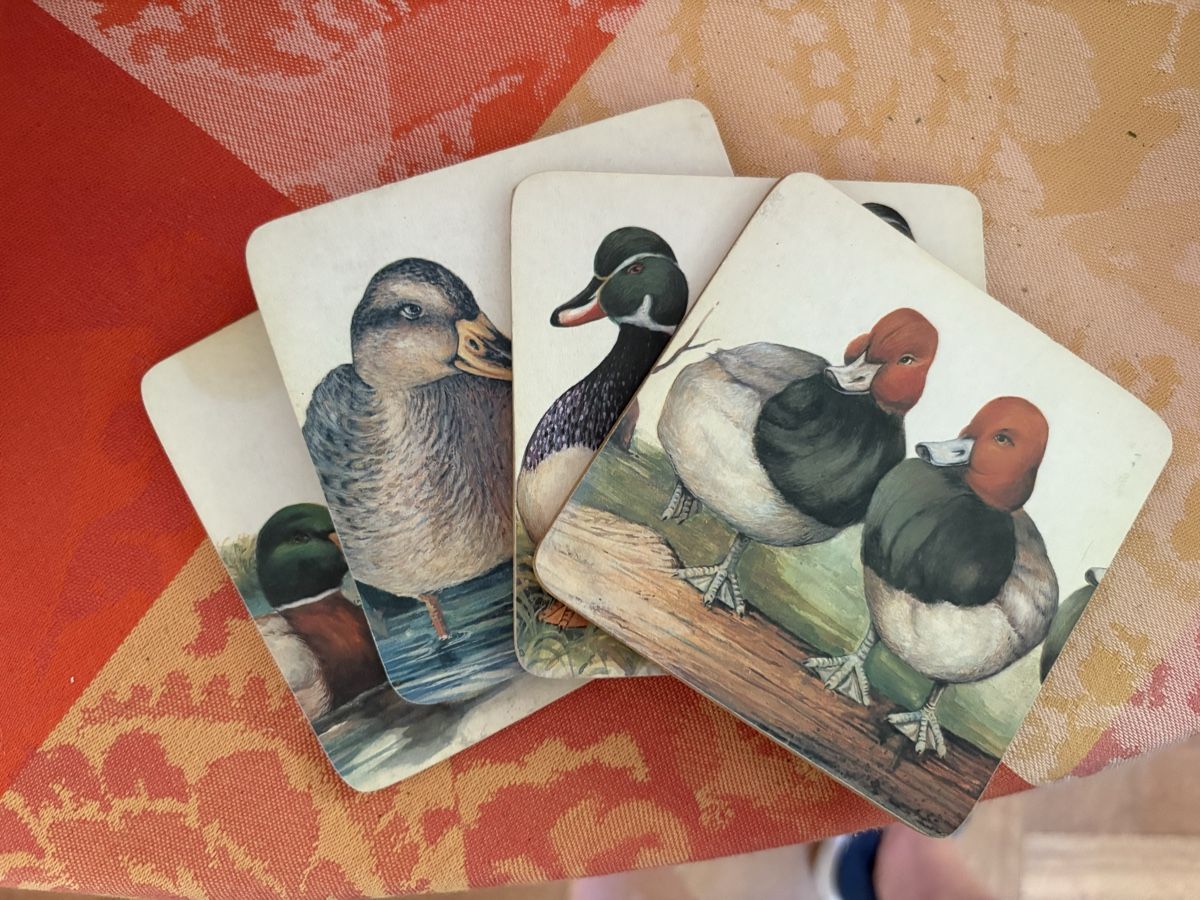 Sottobicchieri: Untersützer mit Entenmotiv Set 4er  – Usato da Luzern venduto da Valie