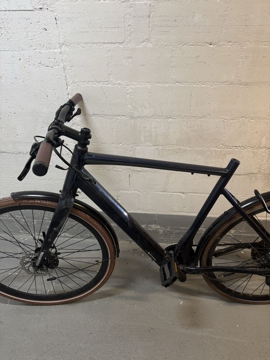 Biciclette: E-Bike Ego Movement – Difettoso da Wil SG venduto da andi_aliaj 2