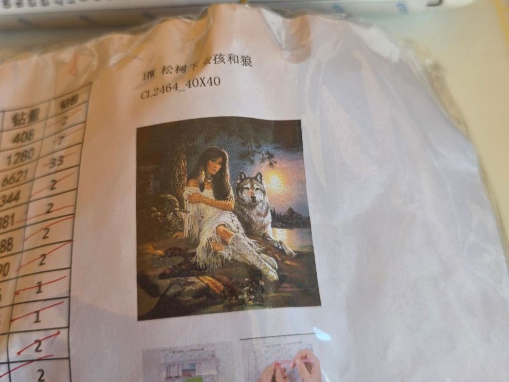Kit bricolage: DIAMOND PAINTING INDIANERIN MIT WOLF – Nuovo e nell'imballaggio originale da Dintikon venduto da bonita099 1