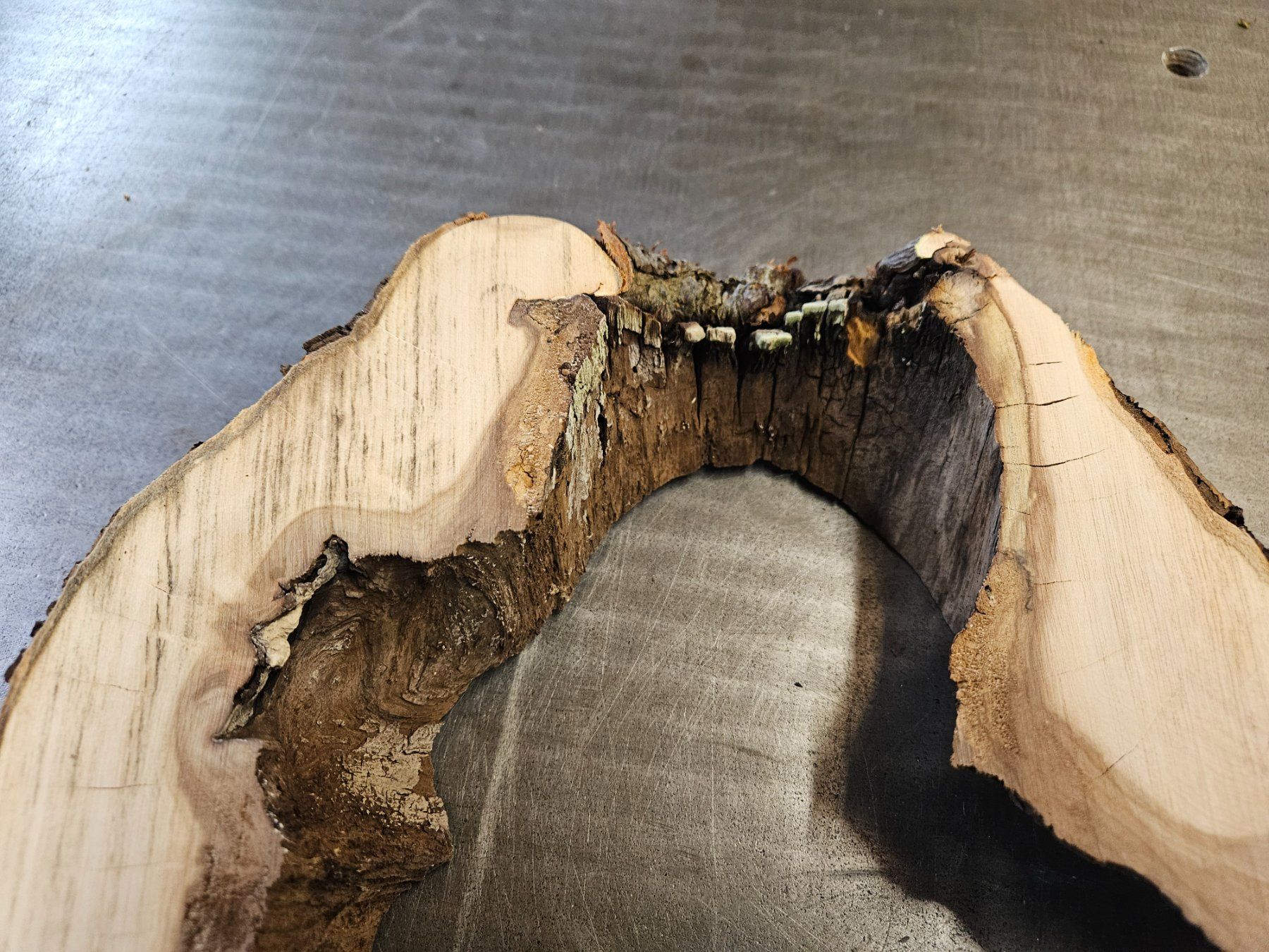 Articoli in legno: Baumscheibe Apfelbaum – Nuovo (secondo la descrizione) da Schangnau venduto da egli6.2 6