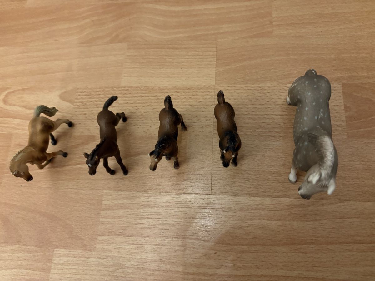 Schleich Jouets: Schleichpferde  – D'occasion à Steffisburg par cornelia812