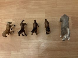 Schleichpferde 