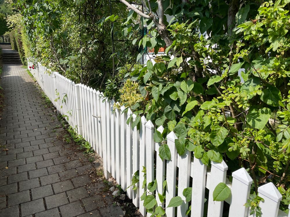 Weisser Kunststoff Gartenzaun mit Gartentüre Kaufen auf Ricardo