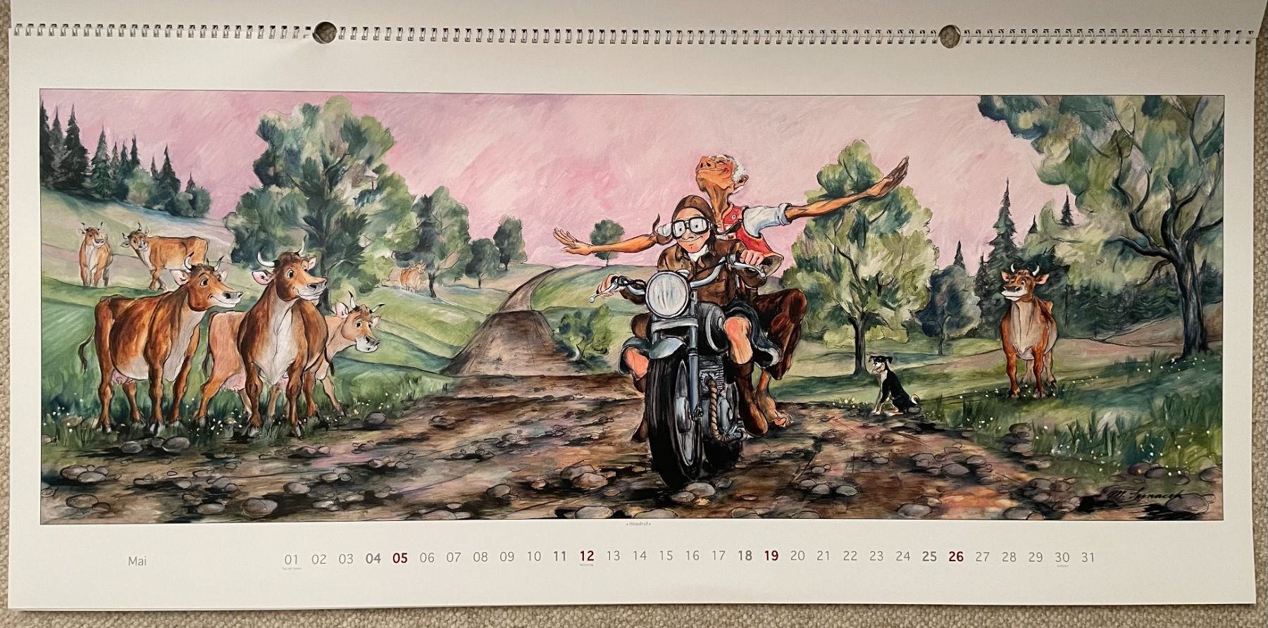 Calendari: Synacek Kalender – Usato da Rümlang venduto da Boehneli7 5