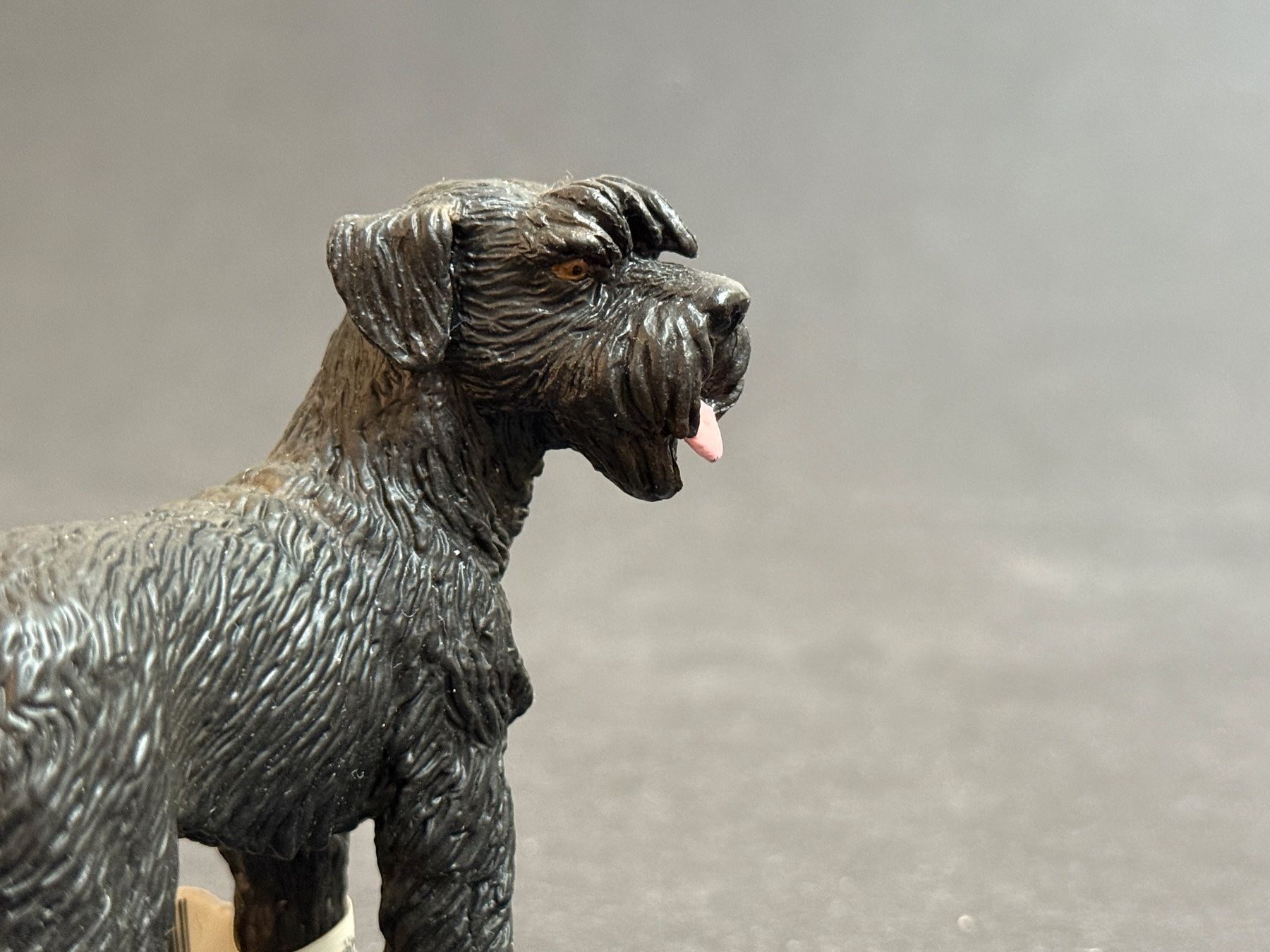 Schleich Statuette: SCHLEICH 16337 Riesenschnauzer Hund – Usato da Ennetbaden venduto da mapa05 5