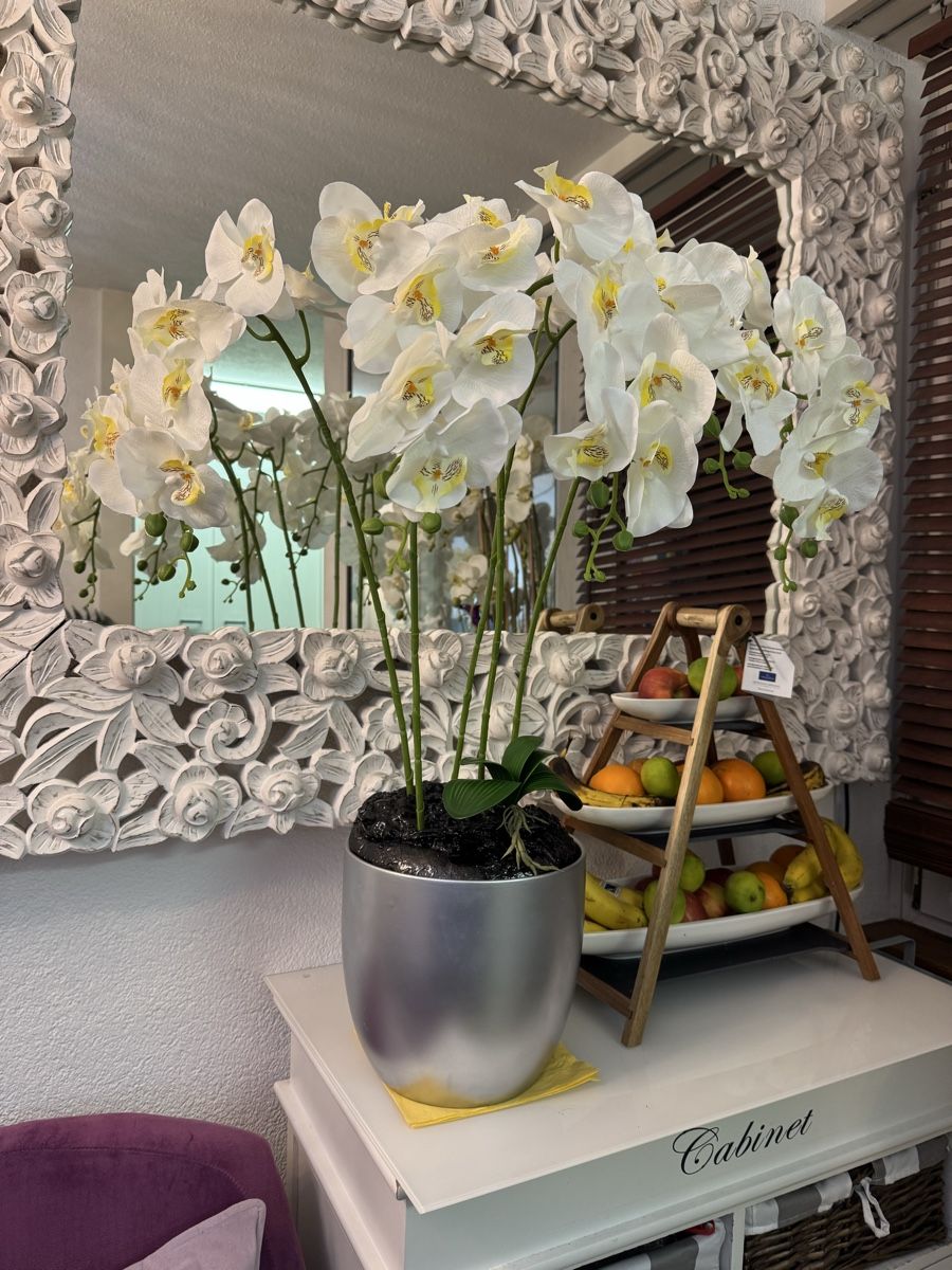 Alle Dekorationen: Künstliche Orchideen New – Neu (gemäss Beschreibung) aus Zürich von Privat4444 1