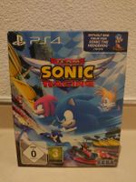 Team Sonic Racing - Collectors Box - (PS4)