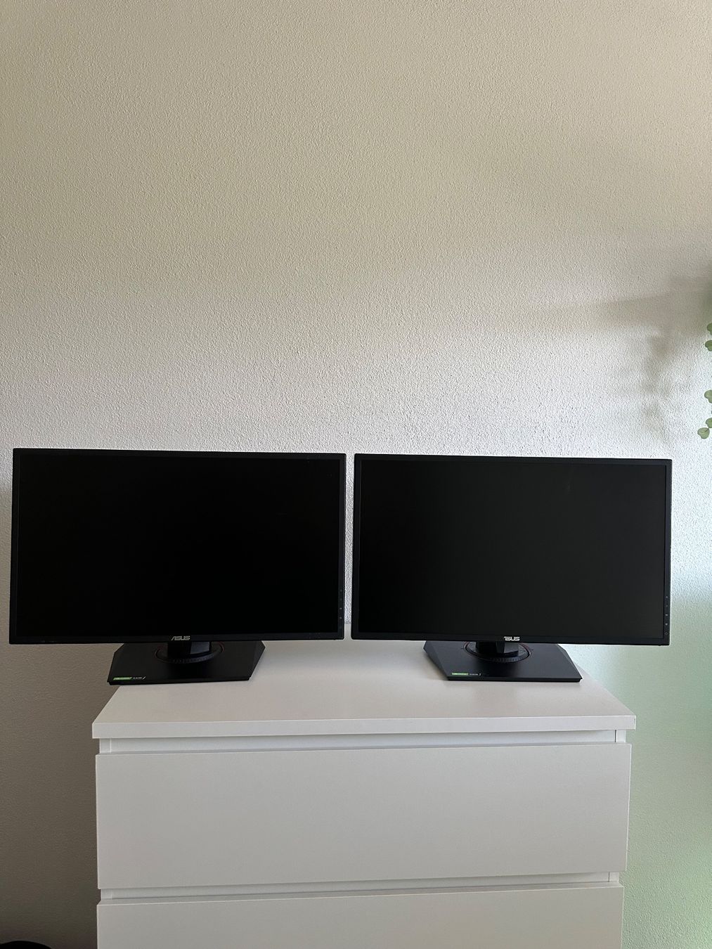 Asus Monitor: ASUS VG248QG – Usato da Kesswil venduto da Robin_MInder