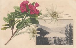 Davoser See 1909
