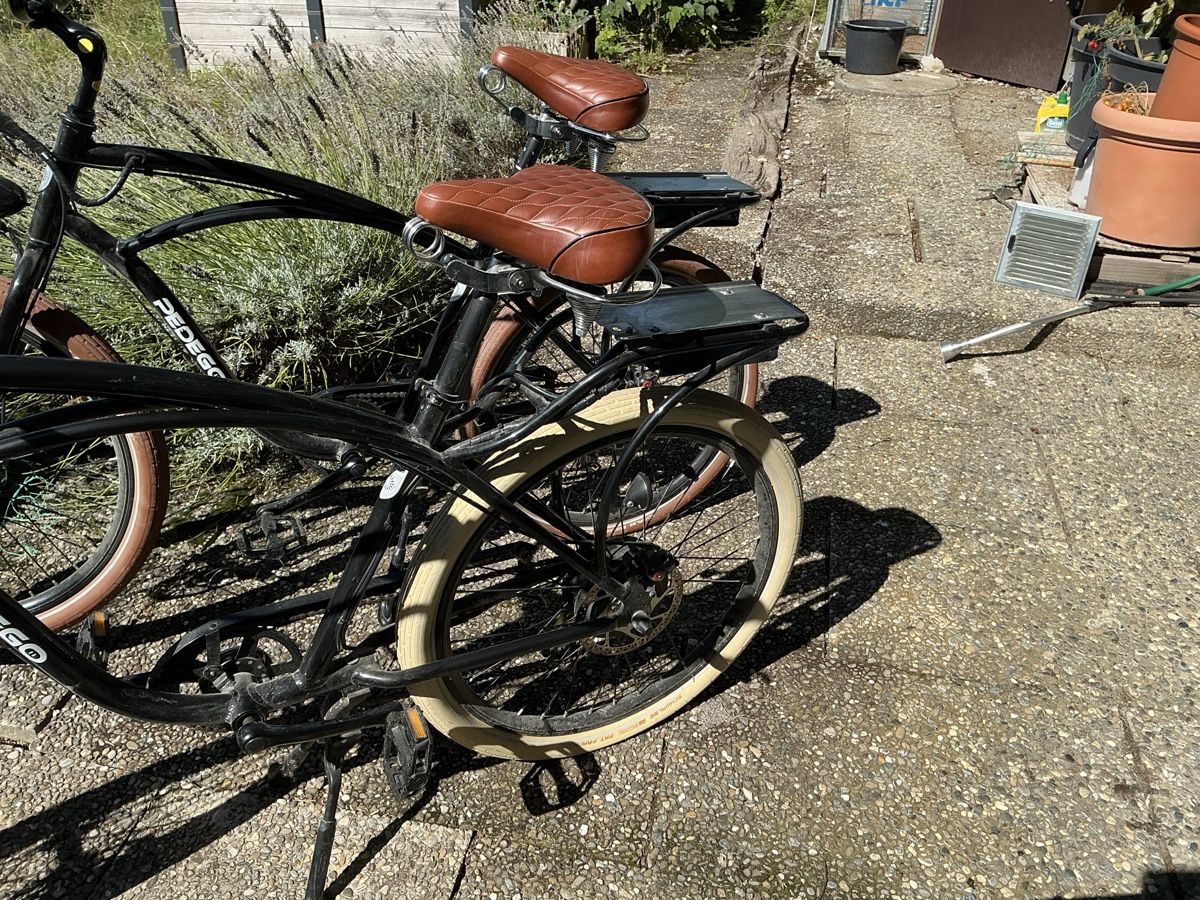 Biciclette: Ebike, Cruiser – Usato da Nussbaumen TG venduto da Hejo1 4
