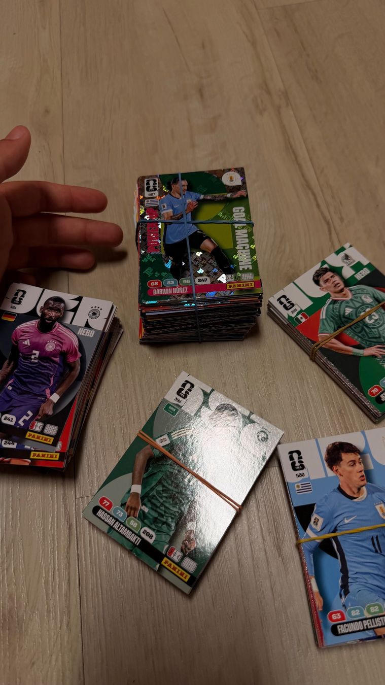 Panini Carte collezionabili: WM sammelkarten kollektion – Nuovo (secondo la descrizione) da Uznach venduto da lar_p97w 1