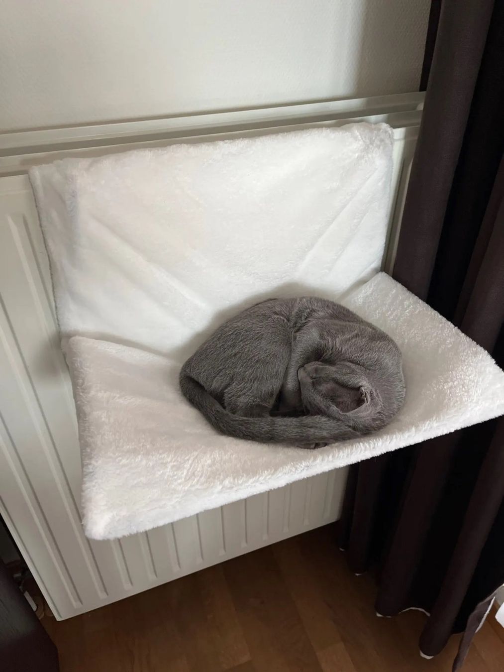 Liege- & Schlafplätze: 🎯 NEU Hängendes Katzenbett – Neu und originalverpackt aus Wittenbach von ChinaSeidenstrasse 4