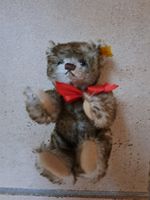 Steiff Teddy