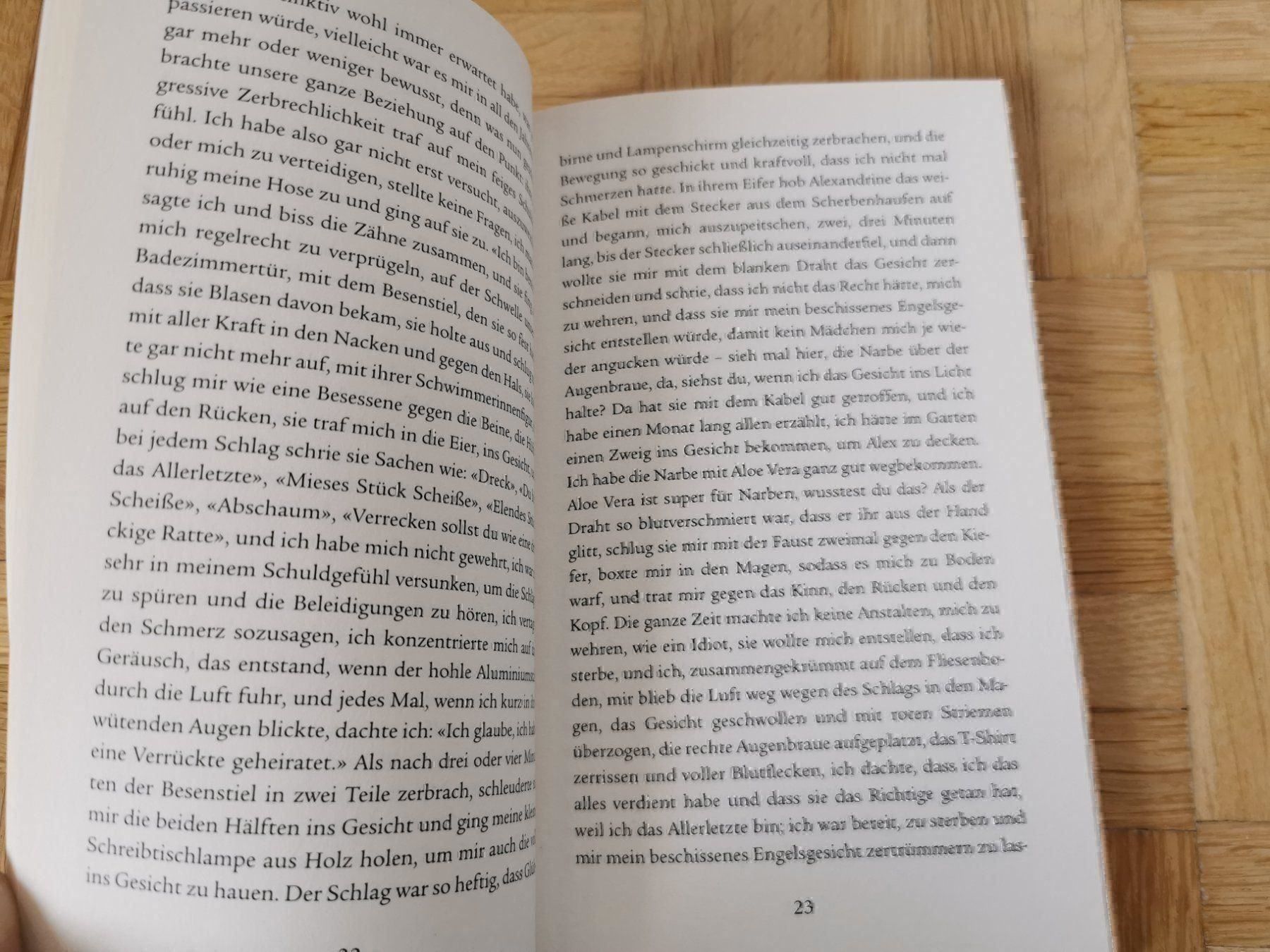 Libri: Nicht so schlimm - Nicolas Fargues – Usato da Stäfa venduto da flamingo_17 4