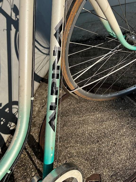 Biciclette: Damenvelo Alpina – Usato da Eschikofen venduto da noweli 1