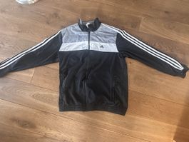 Adidas Trainingsanzug Grösse D 9 Schwarz - Top Zustand!